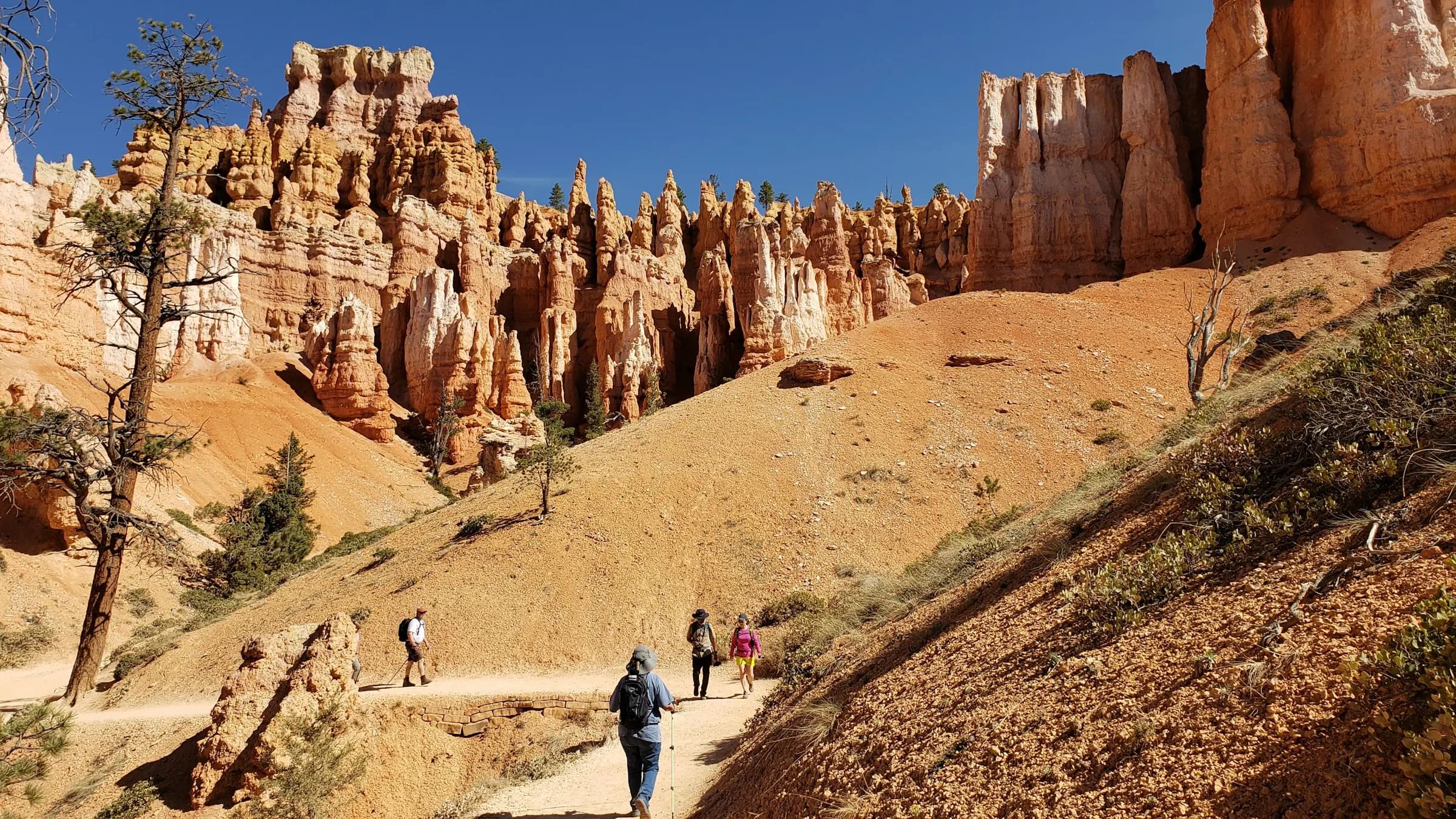 Hikers on a trail winding through red rock spires in a desert canyon