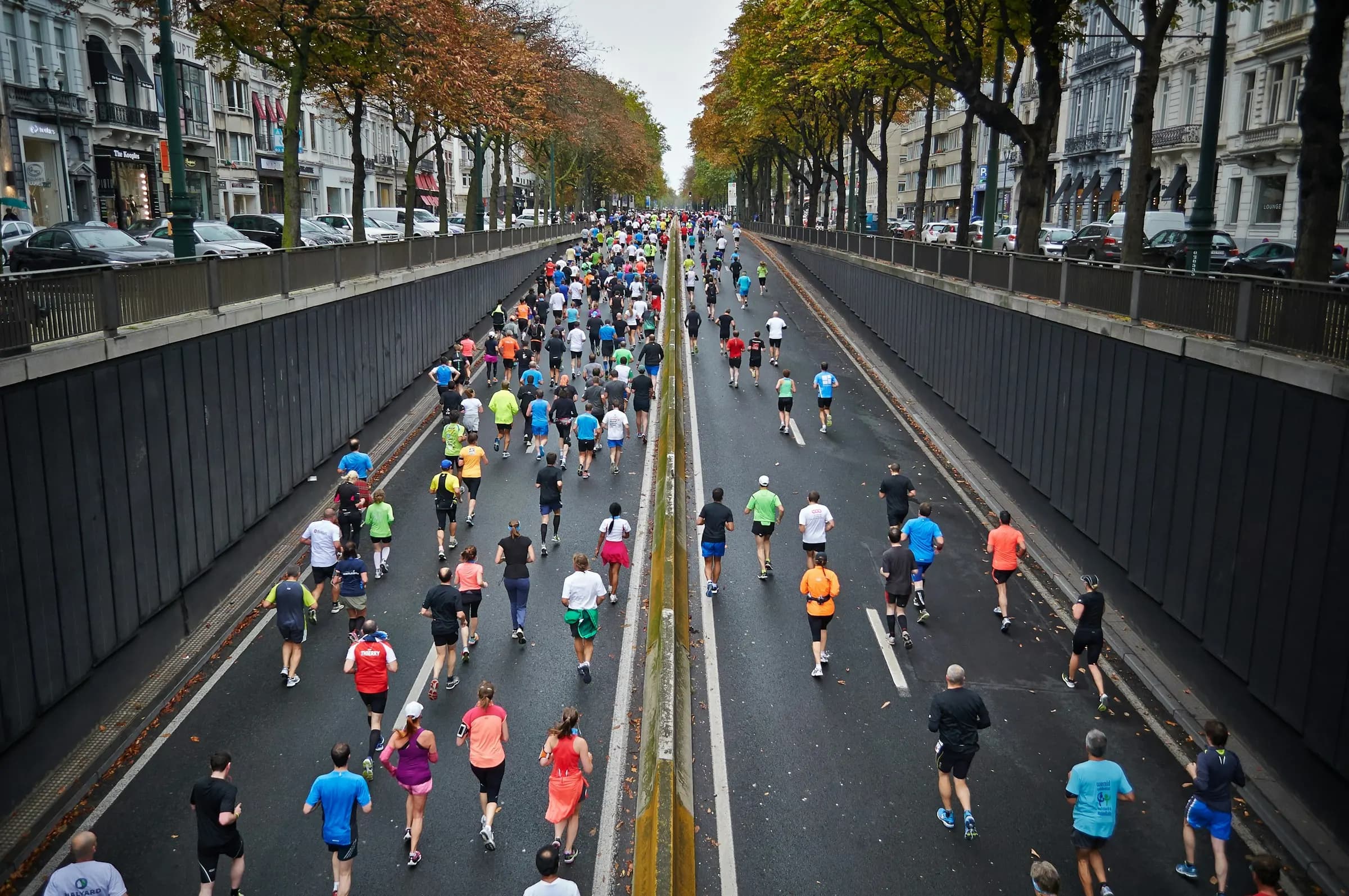 Hundreds of runners filling a tree-lined city avenue during a marathon