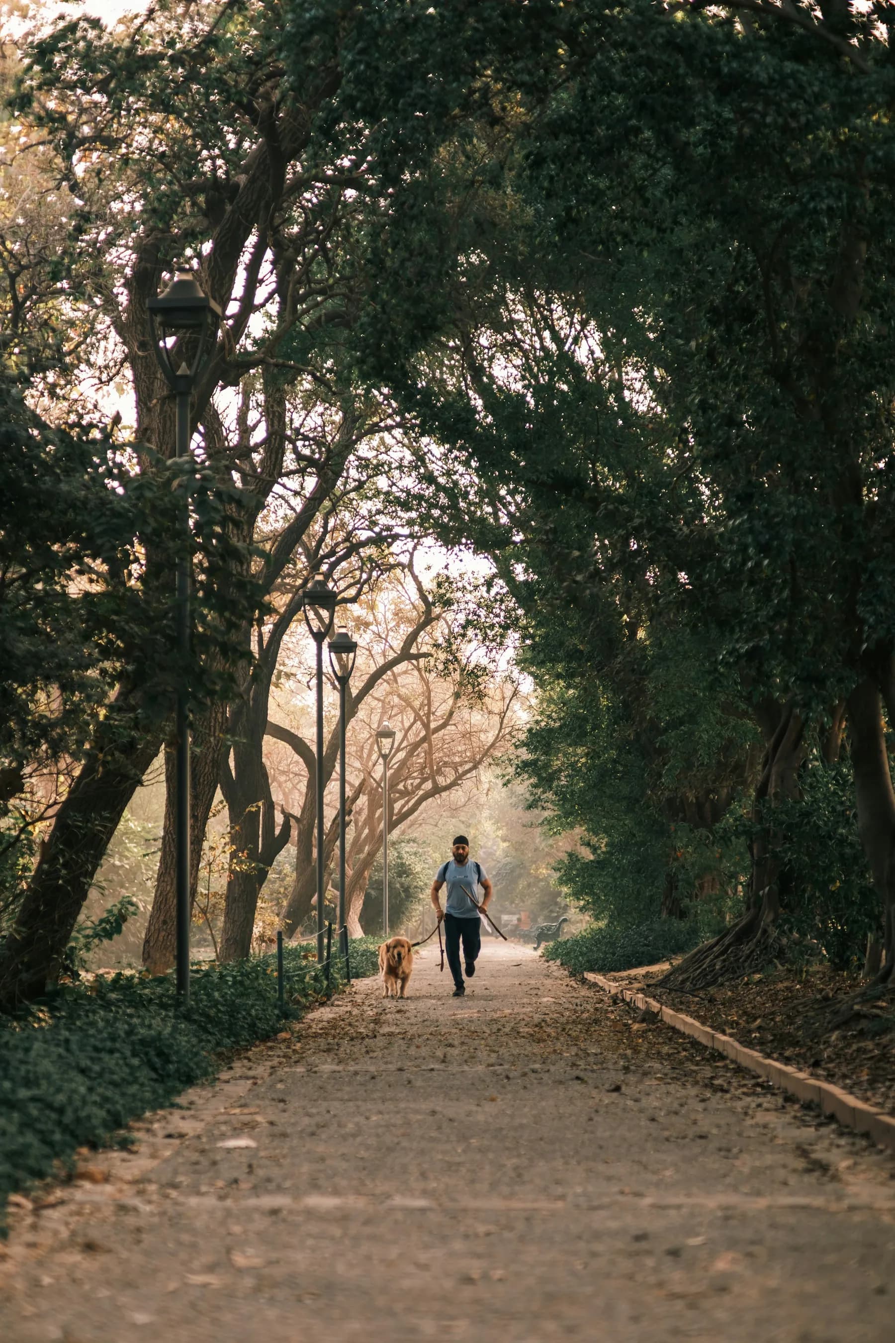 A man and his dog jogging down a tree-lined path in the evening light