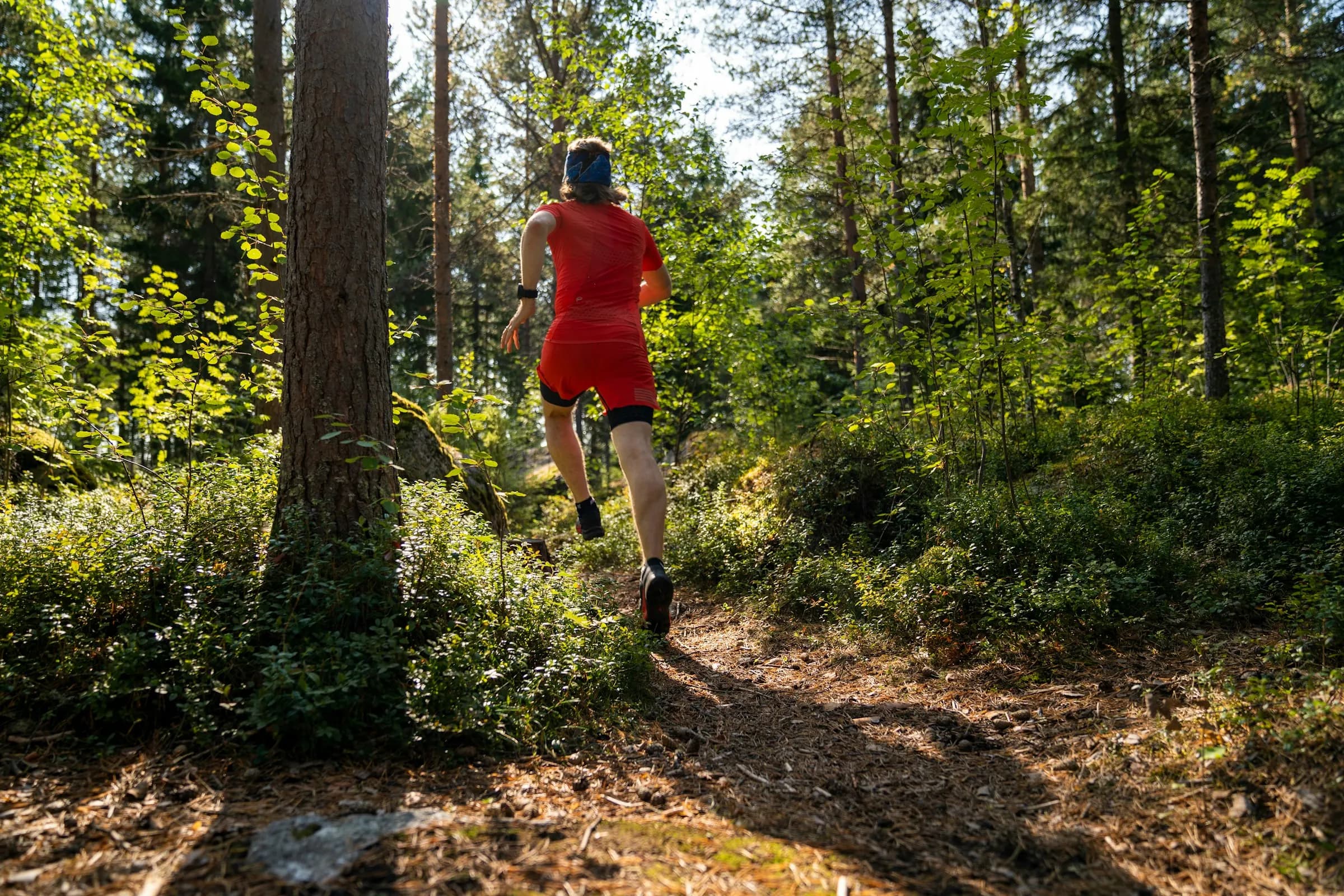 A trail runner in red climbing a sunlit forest path